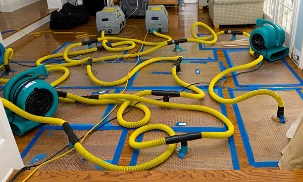 Professional Structural Drying And Dehumidification technician working in Roslyn, NY